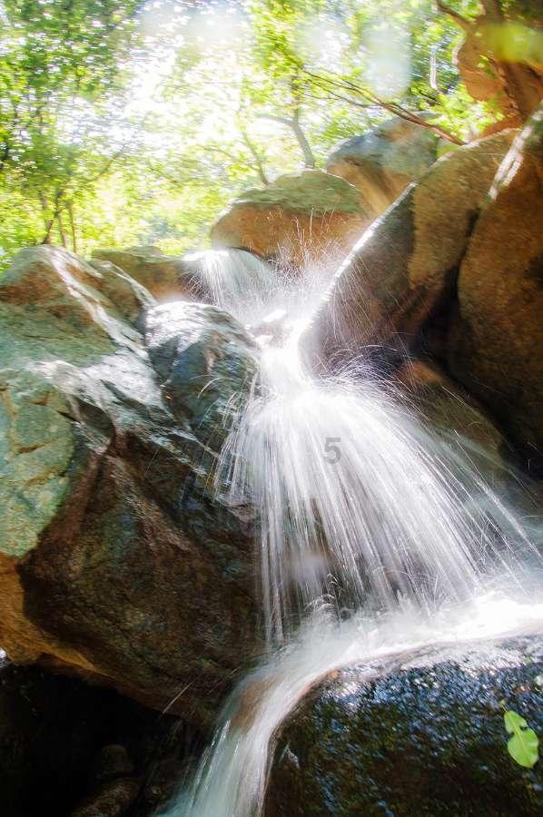 熊出没水果大陆2